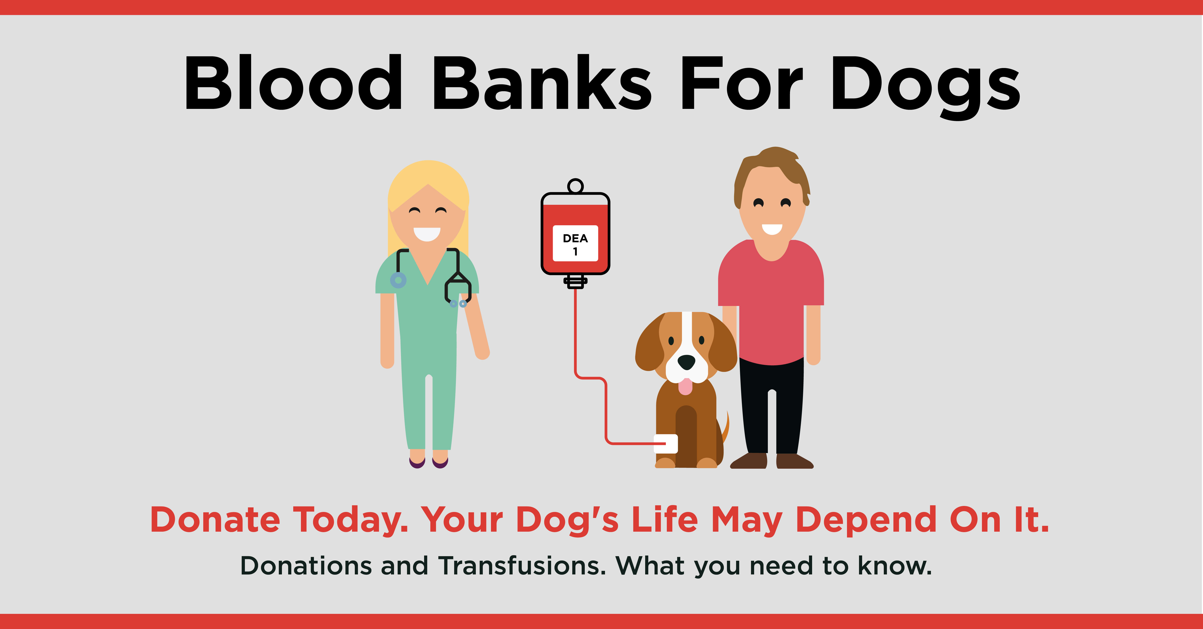 Pet Blood Bank - Saturday 6th January - Oakhill Veterinary Centre