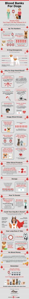 dog blood banks