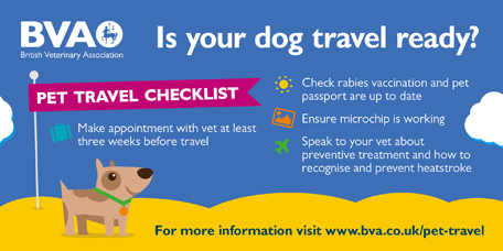 Is your pet travel ready? - Oakhill 