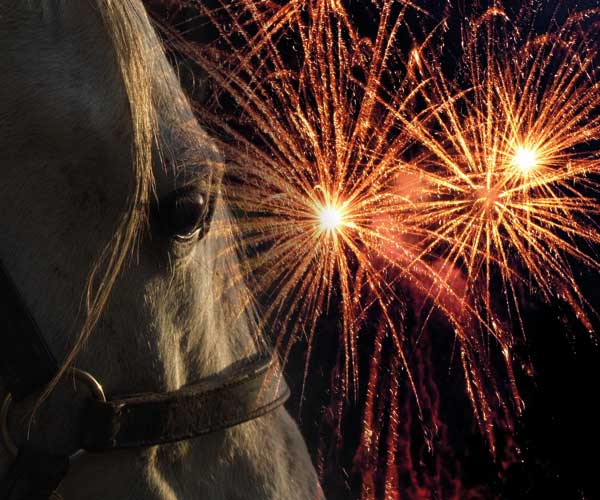 Horses and fireworks