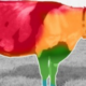 Heat stress in cattle