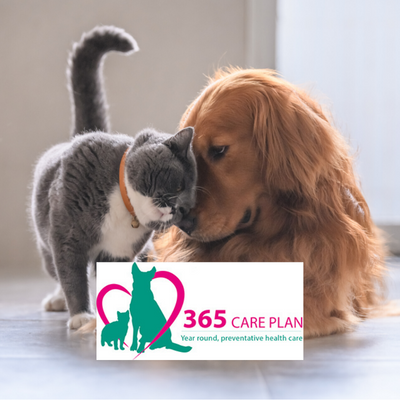 365 Care Plan for cats and dogs