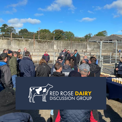 Oakhill Farm Vets supporting Red Rose Dairy Discussion Group