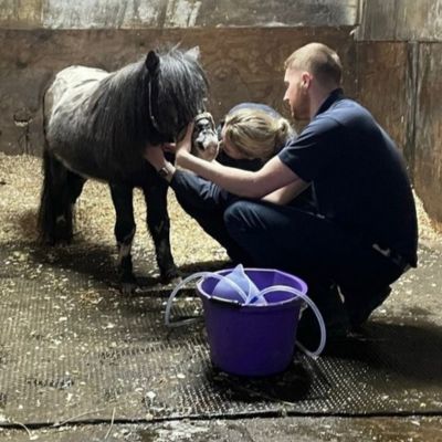 Vets treating choke in a horse