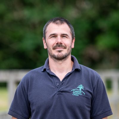 Guy Hinnigan BVSc CertES(Orth) DipECVS MRCVS
