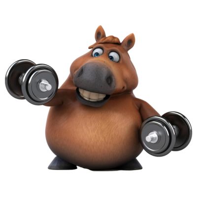 FIt2Fat club