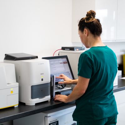 Vet checking animal test results
