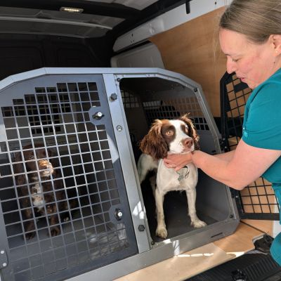 Community Vet Nurse putting dog in van