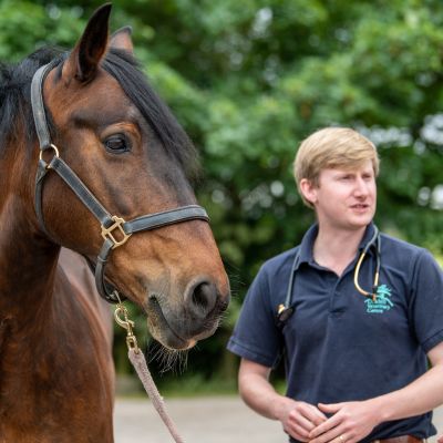 Vet on yard with horse