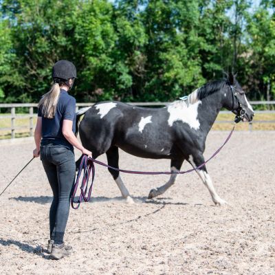 Yard Assistant lunging a horse