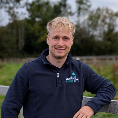 Thomas Fearnley BVSc MRCVS