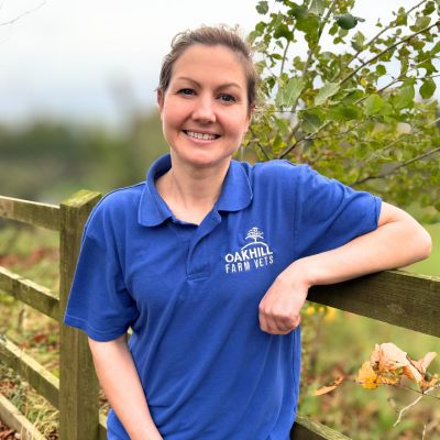 Suzie Bailey BVSc CertAVP (Cattle) MRCVS