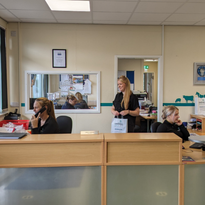 Oakhill Equine Vets - Reception