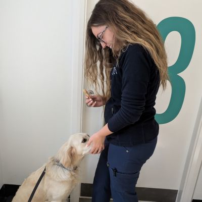 Kirkham Receptionist giving a dog a treat