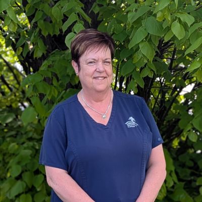 Karen Livesey