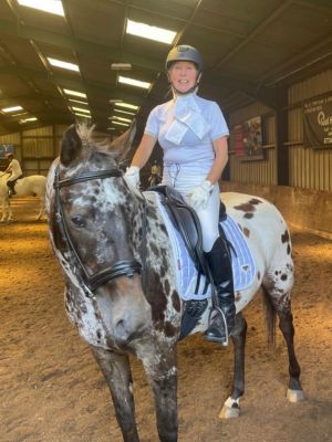 Horse Charlie at a dressage competition